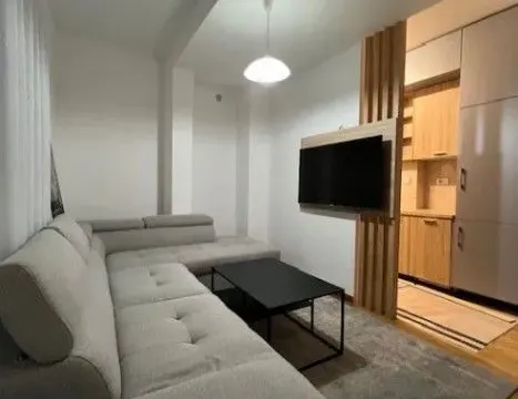 Izdavanje, jednosoban stan, 42m², Ljubović, Podgorica - image 2