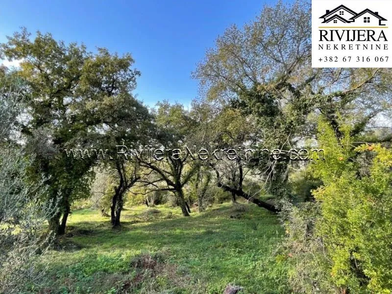 Prodaja, plac, 3300m², Kavač, Kotor