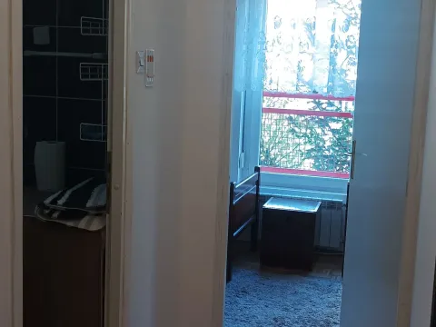 Rent, two bedroom apartment, 60m², Bežanijska Kosa Sve Podlokacije, Beograd - image 12