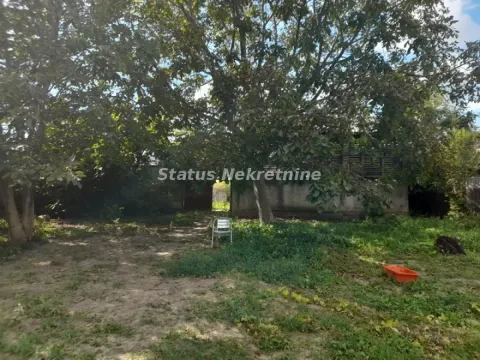 Zaraslo dvorište sa stablima i pomoćnim objektom u pozadini. - image 6