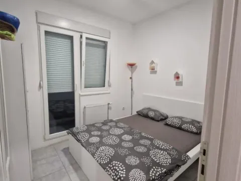 Sale, two bedroom apartment, 41m², Salajka, Novi Sad Sve Podlokacije - image 6