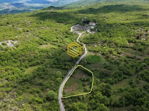 Prodaja, plac, 2500m², Komani, Podgorica - image 4