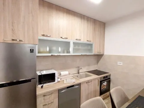 Izdavanje, jednosoban stan, 50m², Pobrežje, Podgorica - image 4