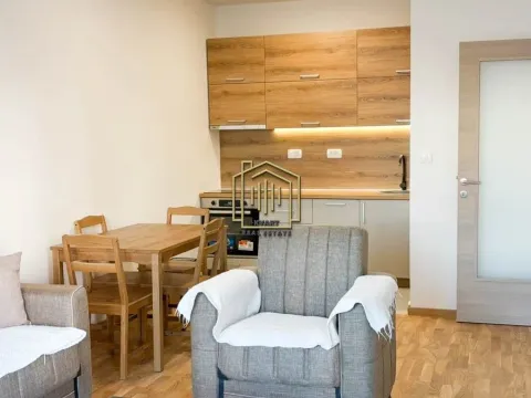 Rent, one bedroom apartment, 46m², Zabjelo, Podgorica - image 3
