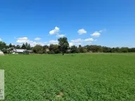 Prodaja, kuća, 42m², Skela, Obrenovac - image 5