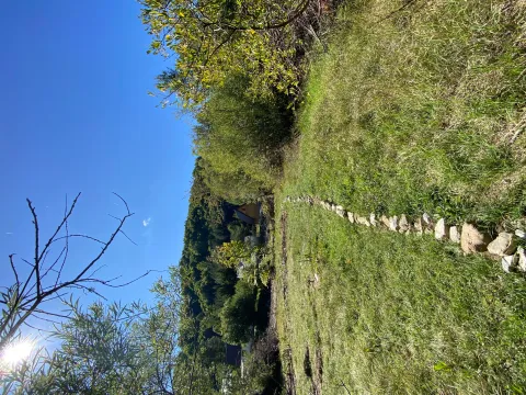 Prodaja, plac, 2500m², Veruša, Podgorica - image 4