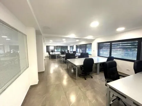 Izdavanje, poslovni prostor, 150m², Centar, Podgorica - image 2