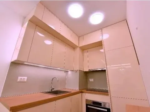 Izdavanje, jednosoban stan, 46m², Stari Aerodrom, Podgorica - image 5