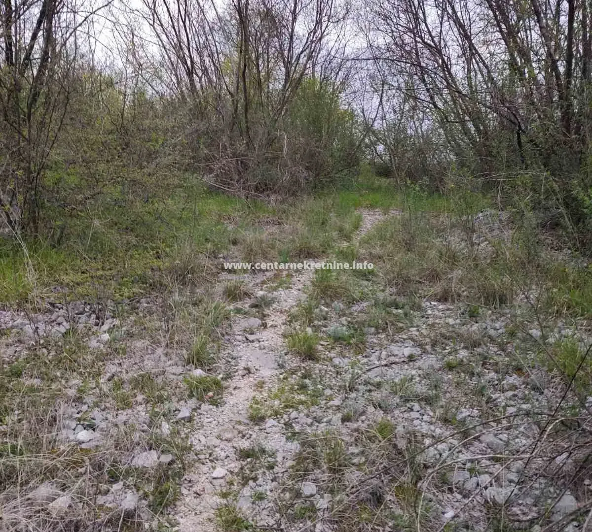 Prodaja, plac, 3200m², Donji Zagarač, Danilovgrad