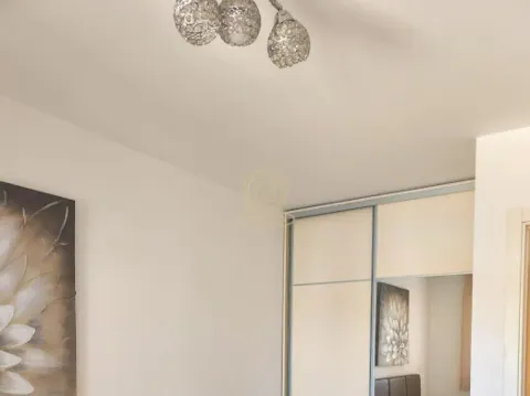 Rent, two bedroom apartment, 55m², Novi Beograd Blok 67, Novi Beograd Sve Podlokacije - image 7