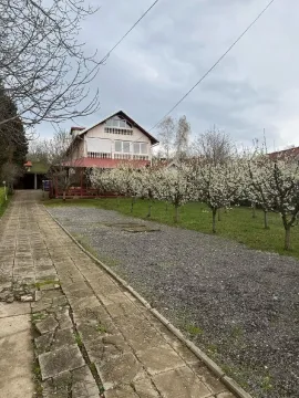 Pogled na dvorište i kuću sa stazom i procvetalim drvećem. - image 2