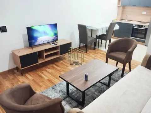 Izdavanje, jednosoban stan, 42m², Stari Aerodrom, Podgorica