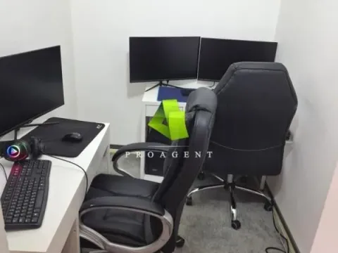 Izdavanje, poslovni prostor, 300m², Pantelej, Niš - image 4