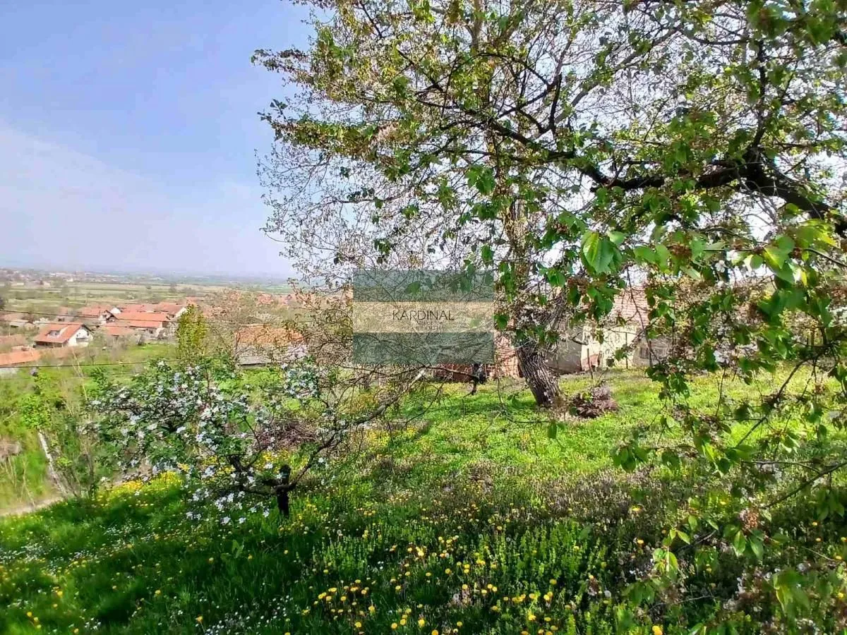 Prodaja, plac, 1258m², Majur, Jagodina