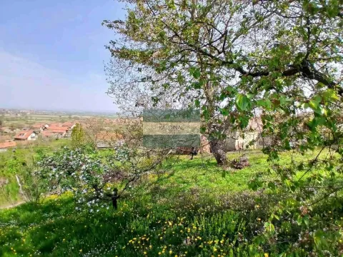 Prodaja, plac, 1258m², Majur, Jagodina - image 6