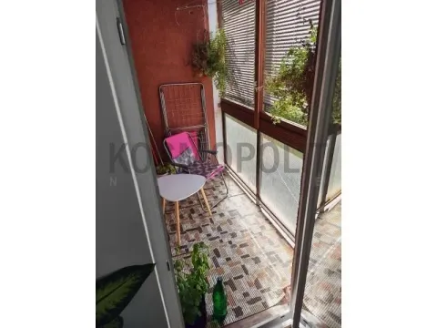 Sale, one bedroom apartment, 37m², Banovo Brdo, Beograd - image 10