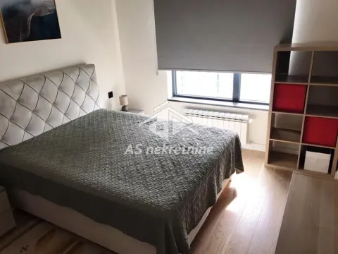 Izdavanje, dvosoban stan, 50m², Savski Venac, Beograd - image 6