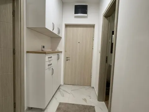 Izdavanje, jednosoban stan, 45m², Pobrežje, Podgorica - image 5