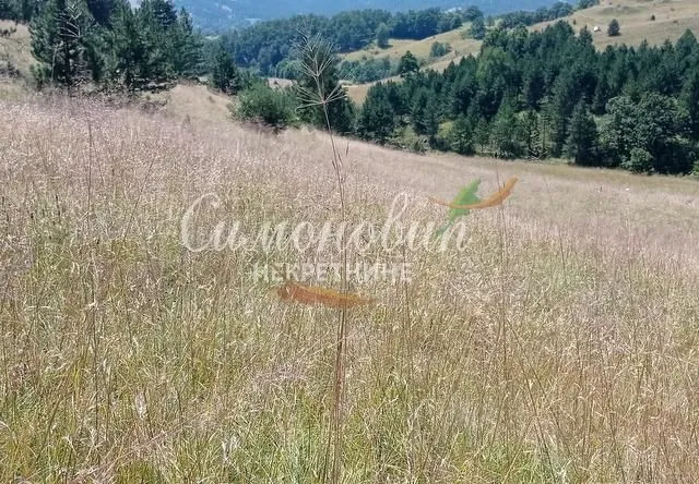 Prodaja, plac, 212100m², Divčibare, Valjevo