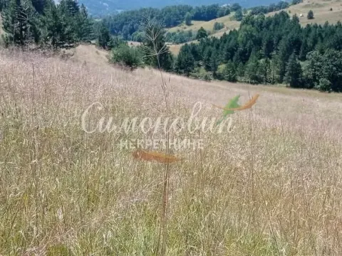 Sale, land lot, 212100m², Divčibare, Valjevo - image 18