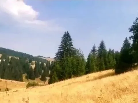 Sale, land lot, 500m², Kraljevi Čardaci, Kopaonik - image 3