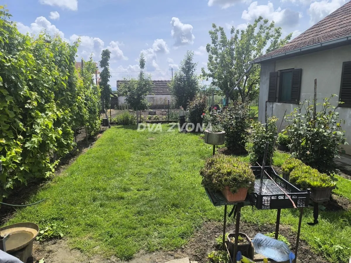 Prodaja, kuća, 37m², Čenej, Novi Sad Sve Podlokacije