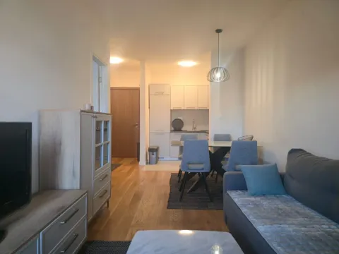 Izdavanje, jednosoban stan, 40m², Central Point, Podgorica - image 2