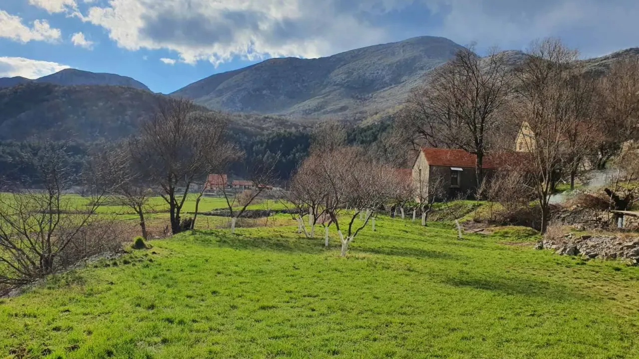 Sale, land lot, 6000m², Cetinje, Crna Gora