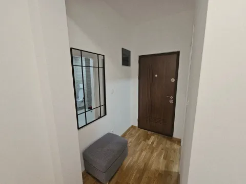 Izdavanje, jednosoban stan, 47m², Zagorič, Podgorica - image 10