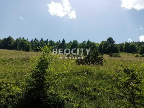 Sale, land lot, 100m², Golija, Ivanjica - image 2