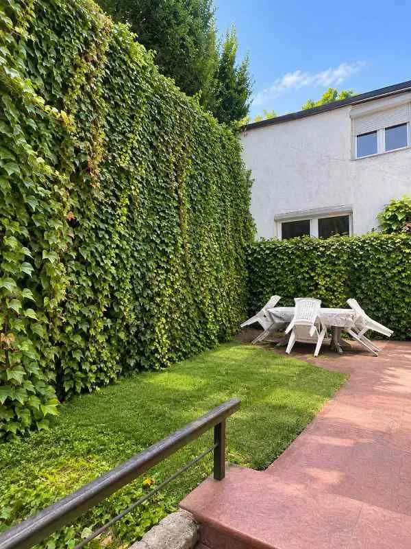 Green yard with a table, chairs, and lawn next to the house facade.