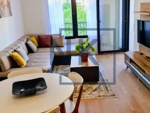 Izdavanje, jednosoban stan, 45m², Tuški Put, Podgorica - image 2