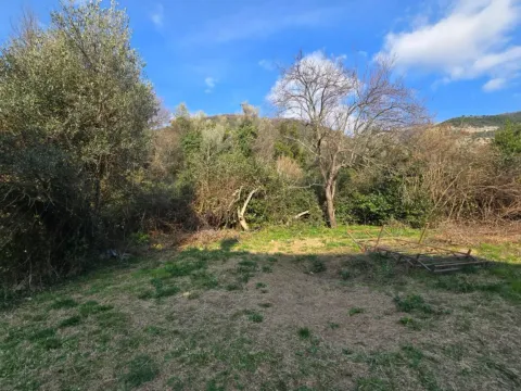Zemljište in Mažina