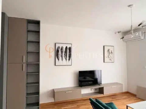 Izdavanje, stan, 31m², Ljubović, Podgorica - image 3