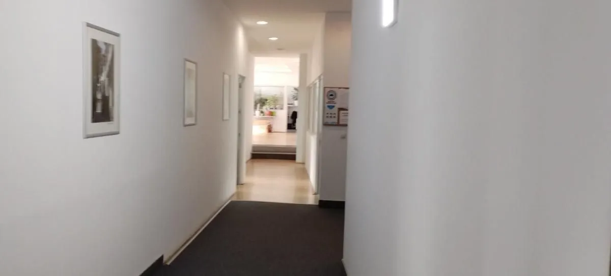 Rent, office space, 320m², Novi Beograd Blok 65, Novi Beograd Sve Podlokacije