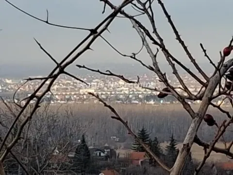 Pogled na grad sa vidikovca kroz grane drveća. - image 15