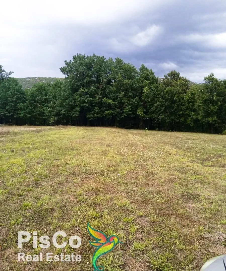 Prodaja, plac, 4700m², Danilovgrad, Crna Gora