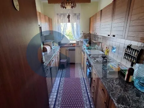 Rent, house, 360m², Centar, Stara Pazova - image 7