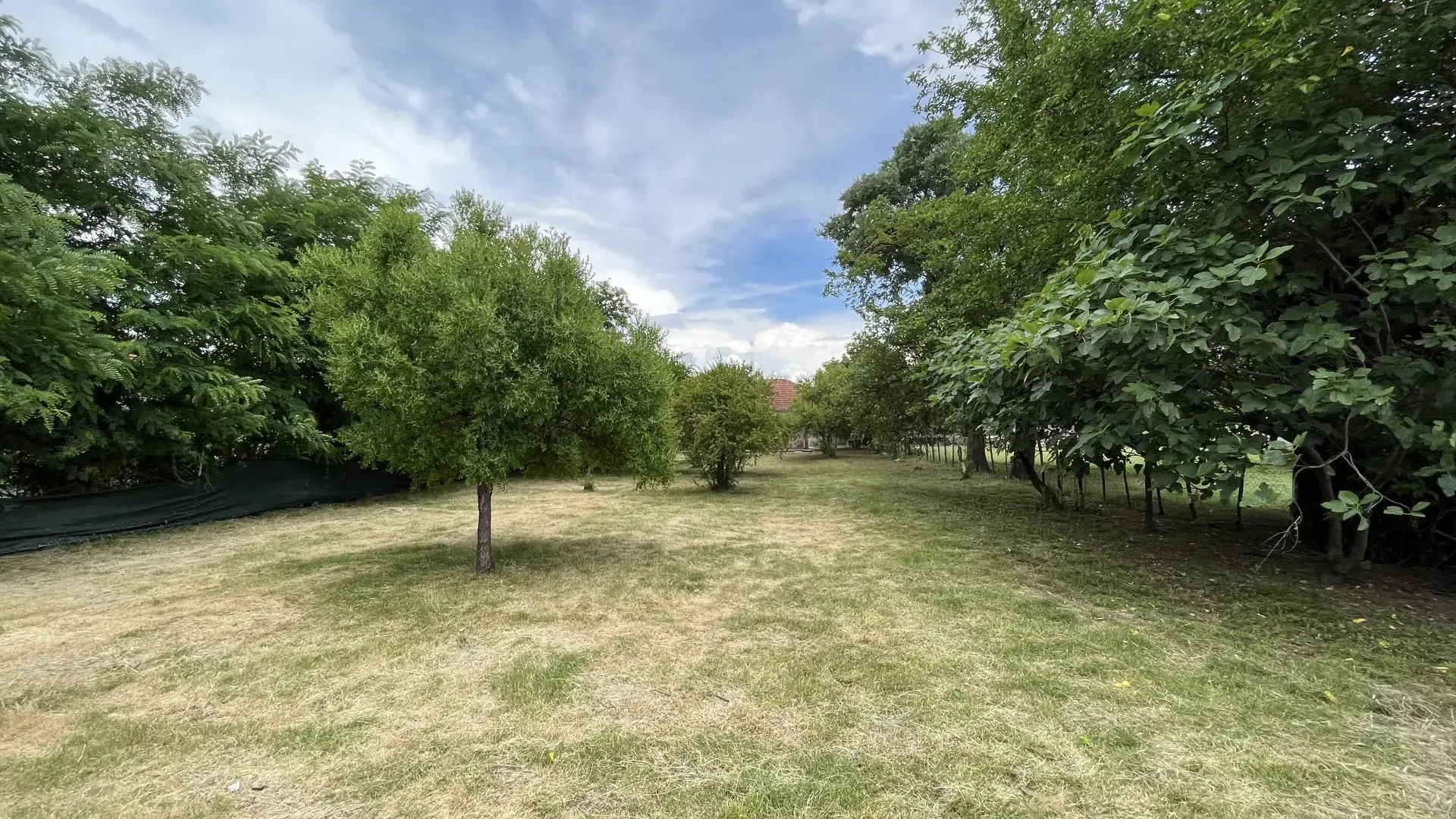 Prodaja, plac, 1533m², Podgorica, Crna Gora