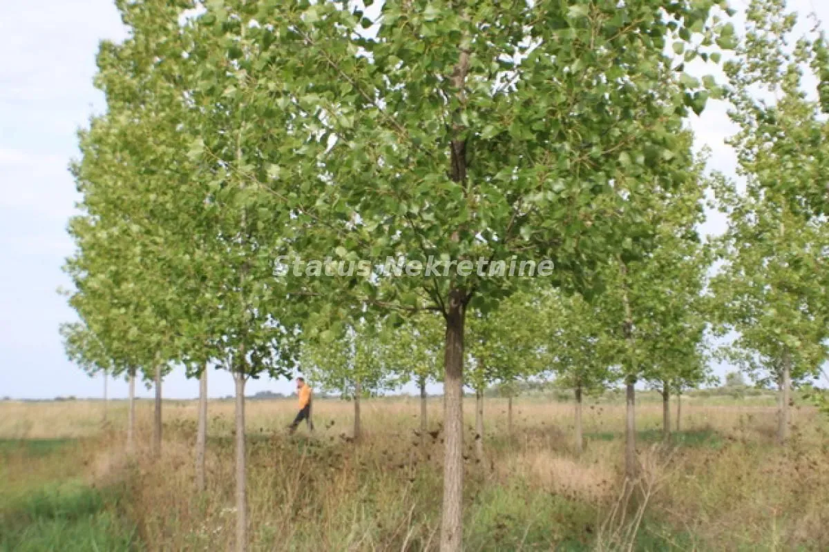 Prodaja, plac, 1378m², Zrenjanin, Srbija