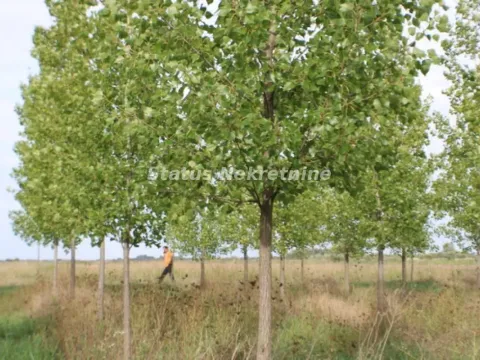 Prodaja, plac, 1378m², Zrenjanin, Srbija - image 27