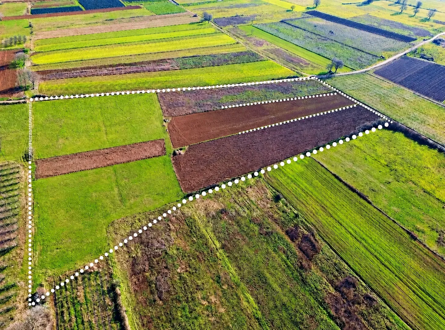 Pogled iz vazduha na zemljište sa ucrtanim granicama parcele.