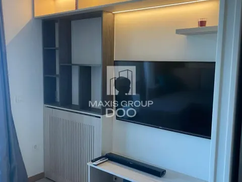 Izdavanje, jednosoban stan, 30m², Savski Venac, Beograd - image 3