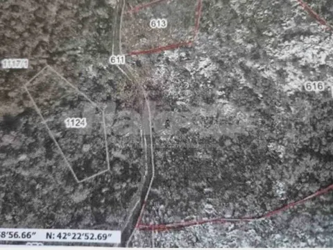 Prodaja, plac, 76159m², Ulići, Cetinje - image 2