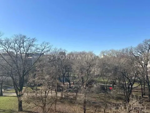 Izdavanje, dvosoban stan, 50m², Tašmajdan, Palilula Sve Podlokacije - image 8