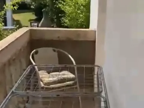 Izdavanje, dvosoban stan, 125m², Budva, Crna Gora - image 14