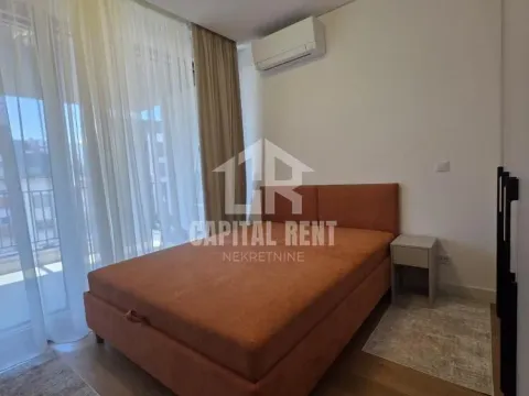 Izdavanje, dvosoban stan, 58m², Vračar Centar, Vračar Sve Podlokacije - image 4