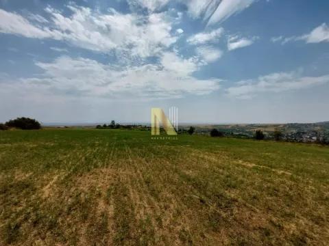 Prodaja, plac, 7500m², Banja Vrdnik, Irig - image 6