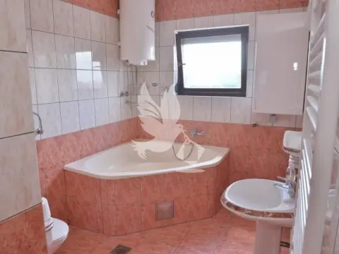 Sale, house, 554m², Mladenovac, Beograd - image 6