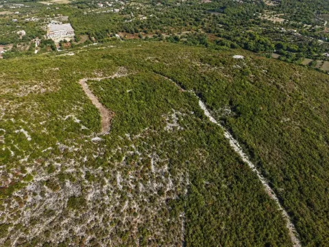 Pogled iz vazduha na brdoviti pejzaž sa rastinjem i okolinom. - image 3